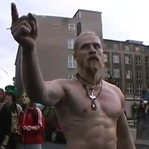 techno-viking