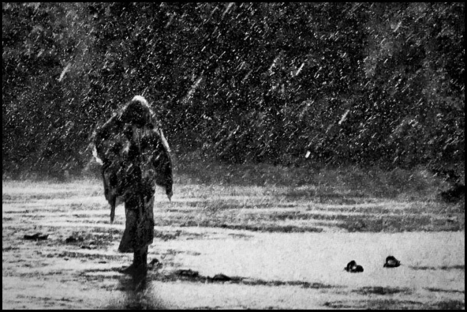 rainstorm