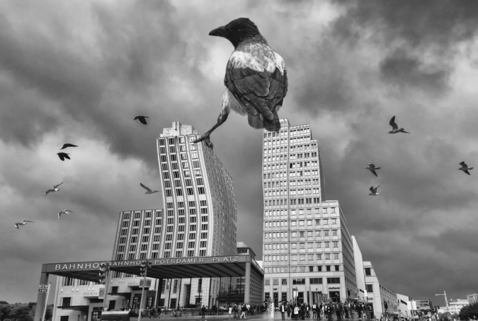 crow-berlin-surreal-1